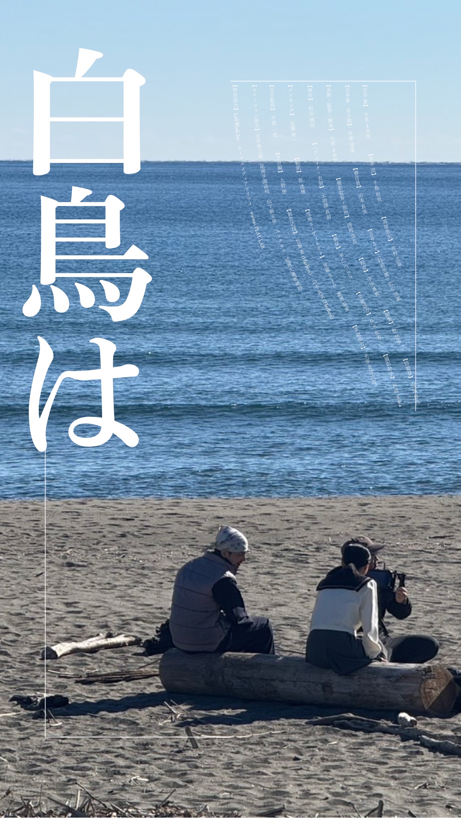 白鳥は